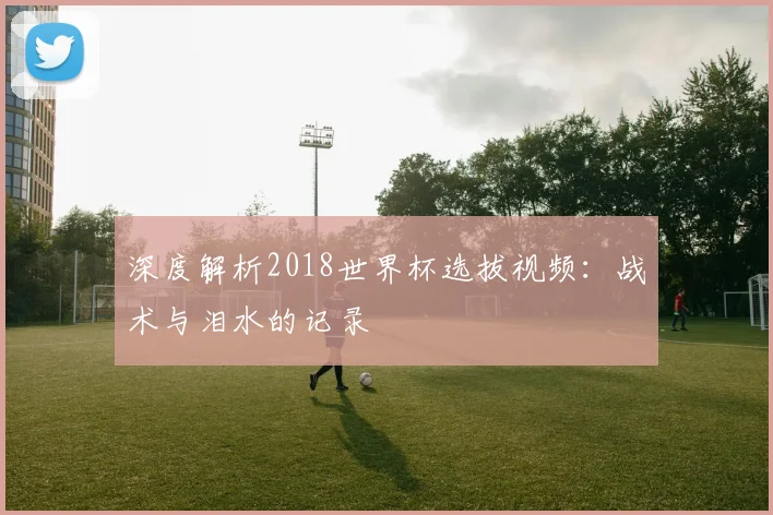深度解析2018世界杯选拔视频：战术与泪水的记录