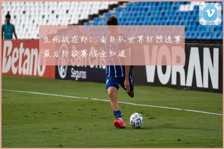 生死战在即:南非队世界杯预选赛最后阶段赛程全知道