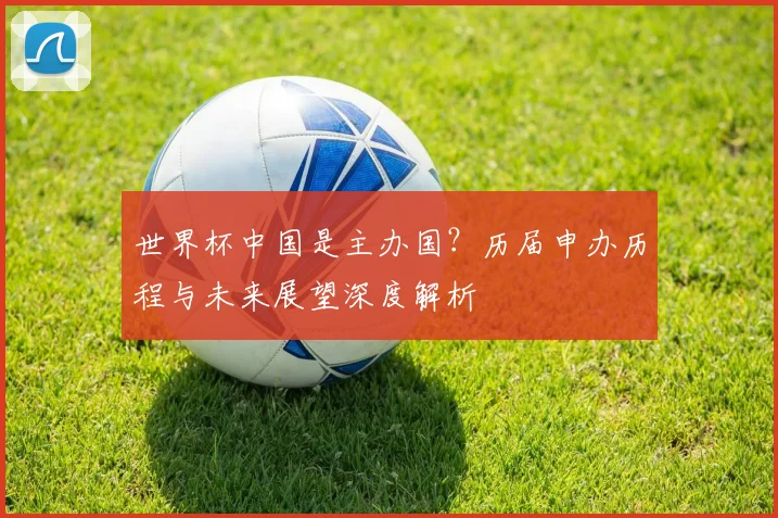 世界杯中国是主办国？历届申办历程与未来展望深度解析