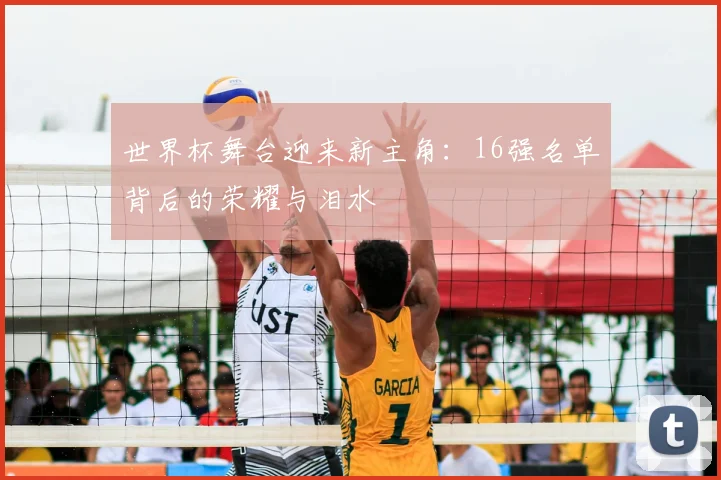 世界杯舞台迎来新主角：16强名单背后的荣耀与泪水
