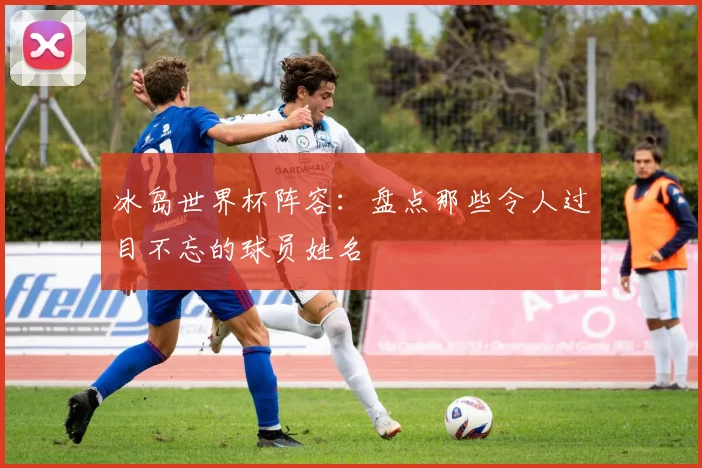 冰岛世界杯阵容：盘点那些令人过目不忘的球员姓名