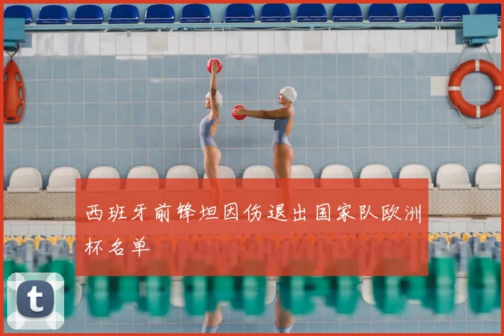 西班牙前锋坦因伤退出国家队欧洲杯名单